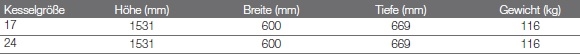 Logamax plus GBH172iT100S