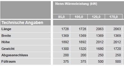 VIESSMANN Vitoligno 250-S